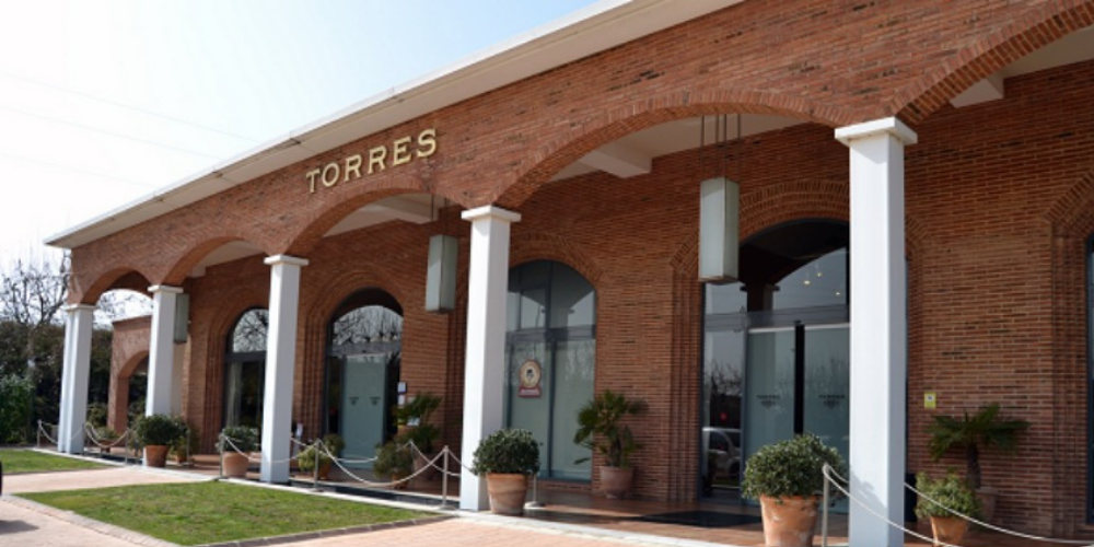 Bodegas Torres  – Vilafranca del Penedès。加泰罗尼亚