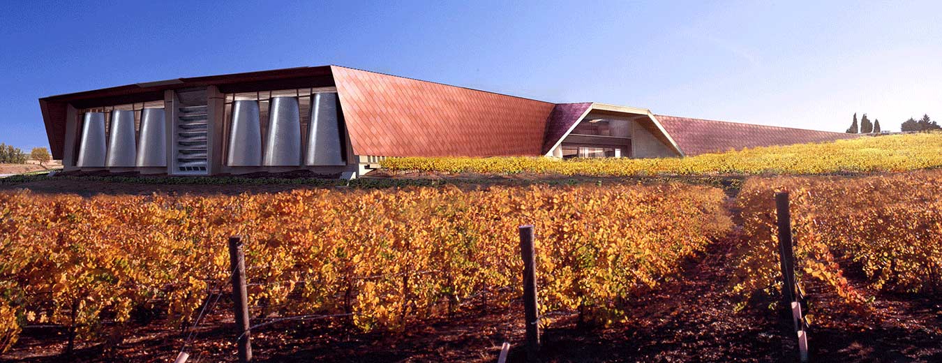 马德里的Ribera del Duero