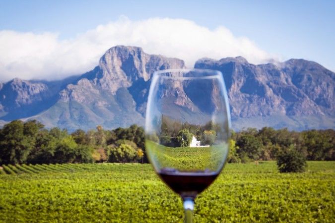 south-africa-mountain-vineyard-675x450.jpg