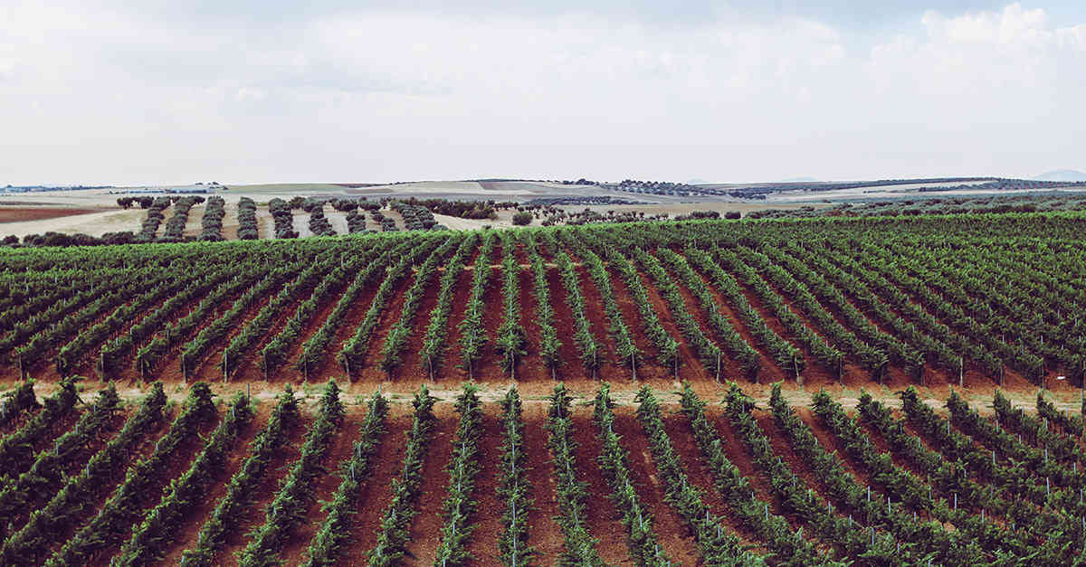 11-rioja-social.jpg