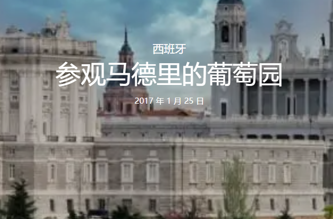 参观马德里的葡萄园