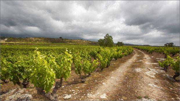 Bodegas de los Herederos del Marqués de Riscal Image 2