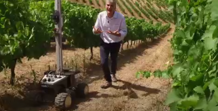 欧洲葡萄种植者转向机器人以提高竞争力