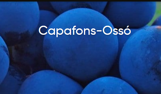 Capafons-Ossó 简介